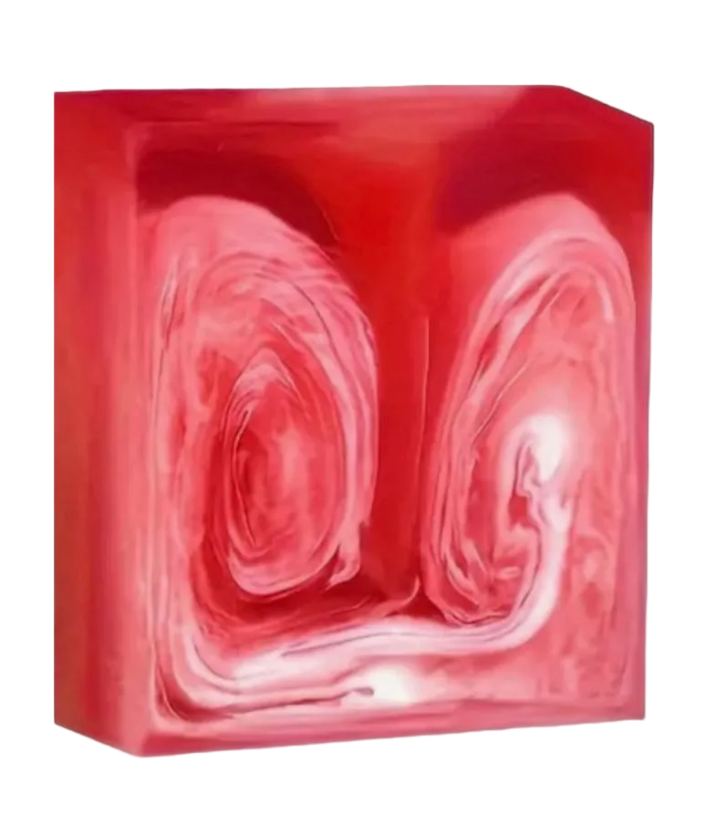 π΄β΄ππΎ π·πΆπ